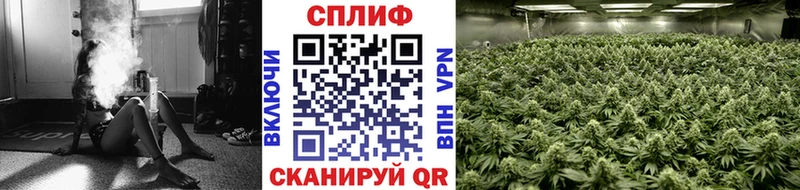 Купить закладку Заполярный ГАШ  АМФЕТАМИН  Меф  Cocaine  Alpha PVP 