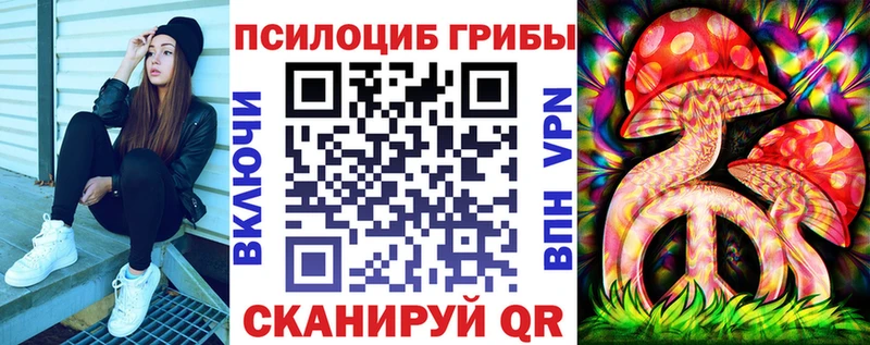 Псилоцибиновые грибы Psilocybe  Заполярный 